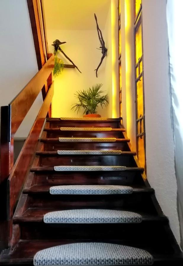 Apartament Sarco Villa Vatra Dornei Exterior photo