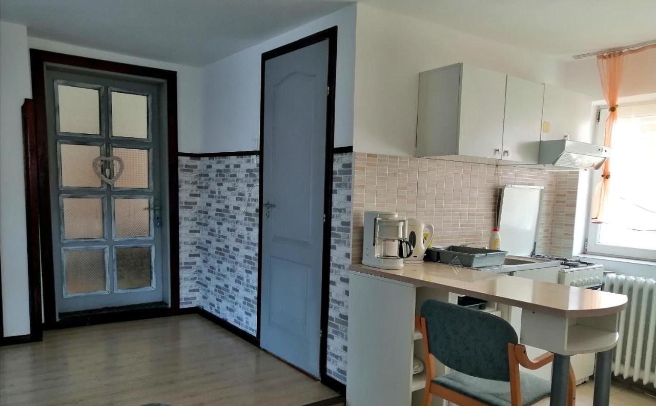 Apartament Sarco Villa Vatra Dornei Exterior photo