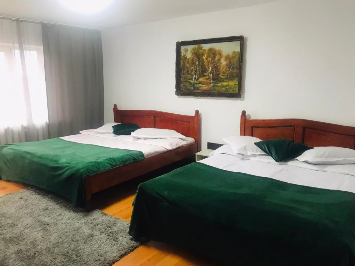 Apartament Sarco Villa Vatra Dornei Exterior photo